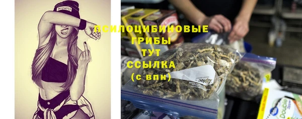 меф Алексин
