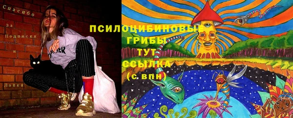 хмурый Новодвинск