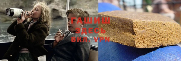 гидра Няндома